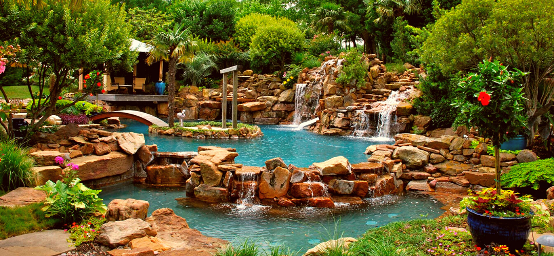 The Best Trees to Plant Around Pools in Arizona